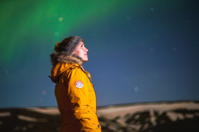 Northern Lights Minibus Tour with Hot Cocoa, Blankets & Photos - Is $106.44 a fair price?
