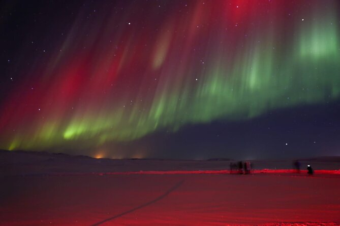 Northern Lights Private Tour from Reykjavik - Smartphone photos without fancy camera gear