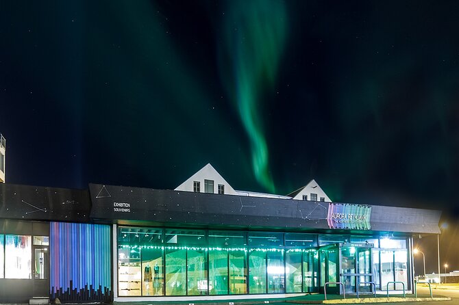 Northern Lights Small Group Tour from Reykjavik with Free Photos - Hot chocolate, snacks, and the cold