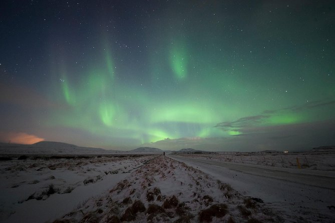Northern Lights Small-Group Tour From Reykjavik with Hot Drink - The guides are a major part of the value