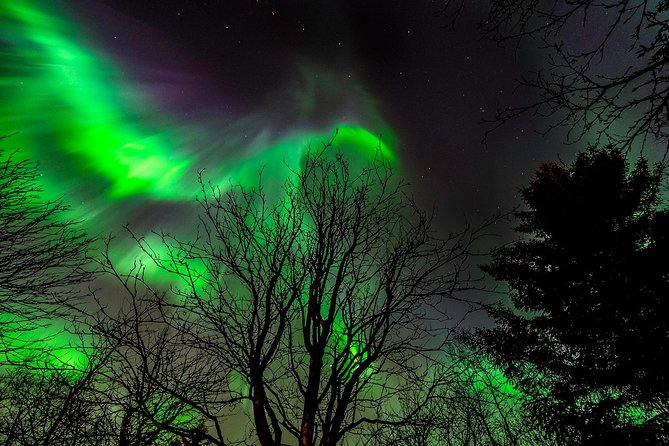 Northern Lights Tour from Reykjavik with Lifetime Guarantee - What happens during the coach ride