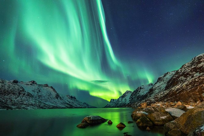 Northern Lights Tour from Reykjavik with Lifetime Guarantee - The guide’s role when the forecast is uncertain