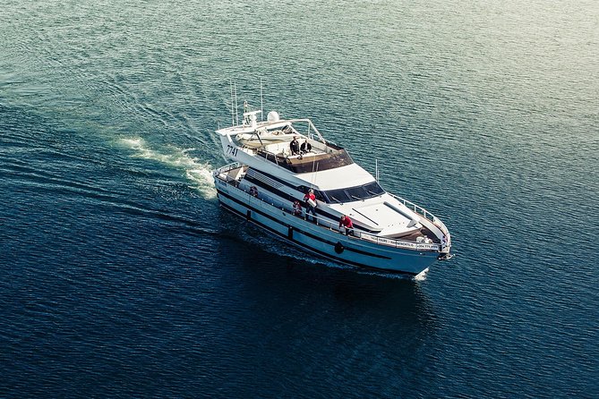 Northern Lights Yacht Cruise - What the crew adds to the evening
