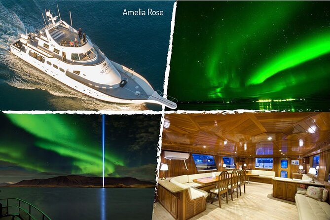 Northern Lights Yacht Cruise in Reykjavik - City Light, Dark Skies, and the Main Compromise