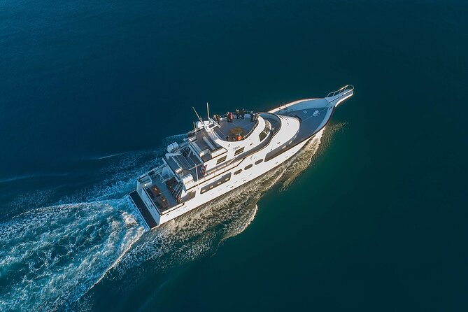 Northern Lights Yacht Cruise in Reykjavik - How the Crew Handles a Natural Event