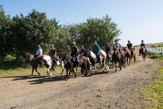 One-Hour Horseback Riding Tour in the Icelandic Countryside - Why this one-hour ride works well in South Iceland
