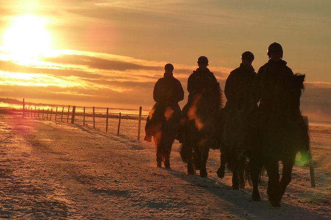 One-Hour Horseback Riding Tour in the Icelandic Countryside - Following the paths around Vellir farm