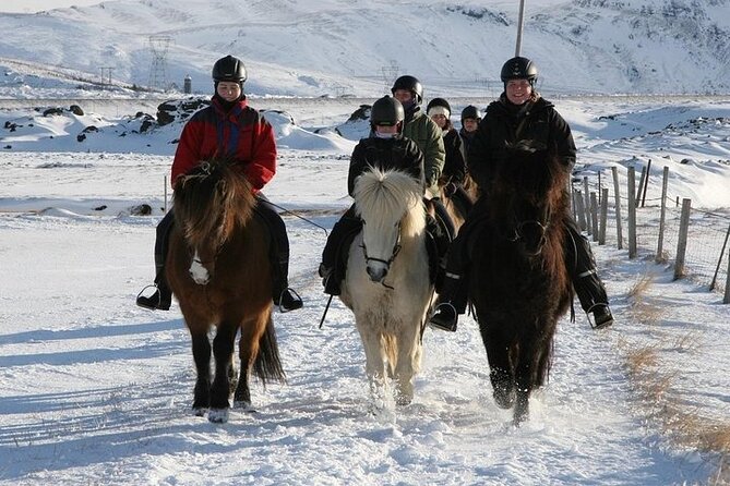 One-Hour Horseback Riding Tour in the Icelandic Countryside - What the one-hour length really means