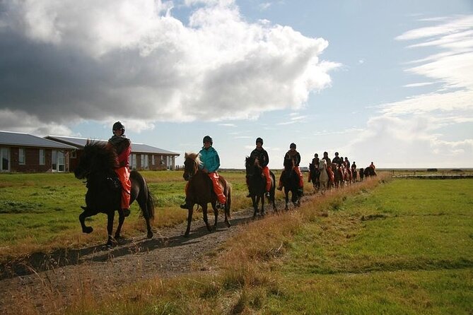 One-Hour Horseback Riding Tour in the Icelandic Countryside - Is $94.95 fair for an hour?