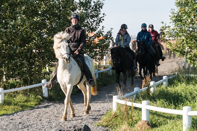 One-Hour Horseback Riding Tour in the Icelandic Countryside - Meeting the horses at Hótel Eldhestar