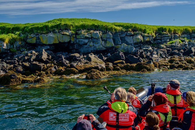Premium Small-Group Puffin & Bird Watching tour from Reykjavík - Stop 2: Akurey and the nearby nesting islands