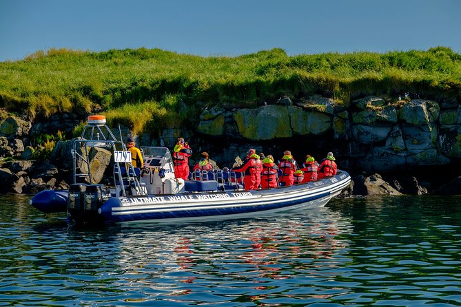 Premium Small-Group Puffin & Bird Watching tour from Reykjavík - What the small group changes