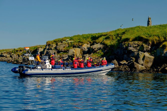 Premium Small-Group Puffin & Bird Watching tour from Reykjavík - The $105.22 price and what you receive