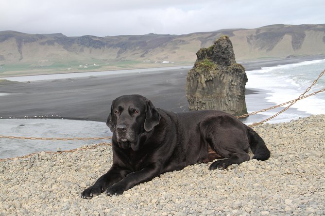 Private Day Trip to the Icelandic South Coast from Reykjavik - What a 10-hour private South Coast day feels like