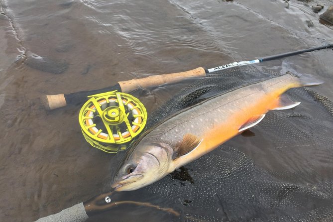Private Fishing Tour from Reykjavik - Arctic Char and Brown Trout - Guides who shape the day