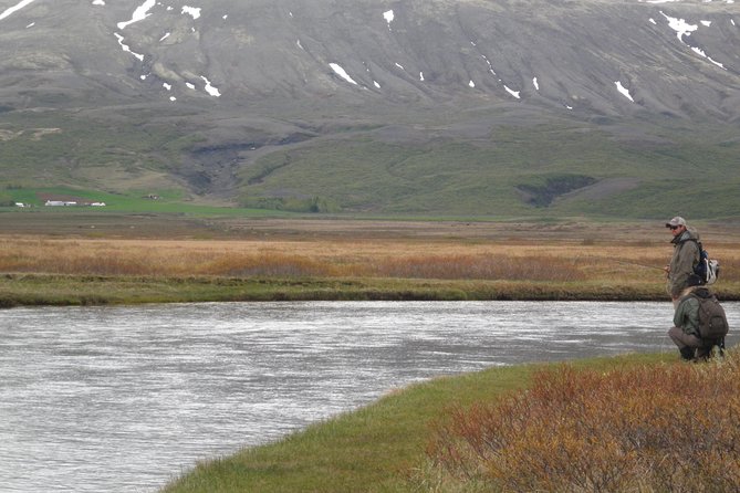 Private Fishing Tour from Reykjavik - Arctic Char and Brown Trout - Who should book this Iceland fishing tour?