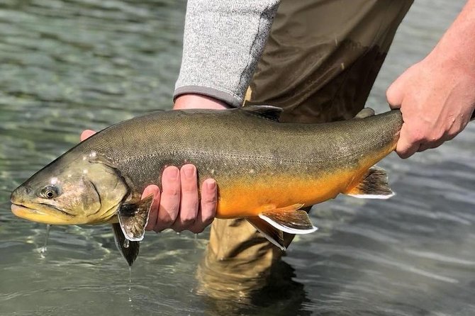 Private Lake and River Fishing Tour from Reykjavik - A full fishing day from Reykjavik