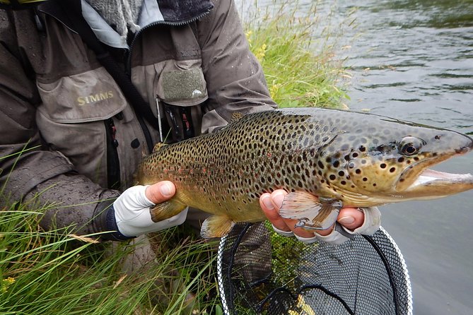 Private Lake and River Fishing Tour from Reykjavik - The value of private transport and included equipment