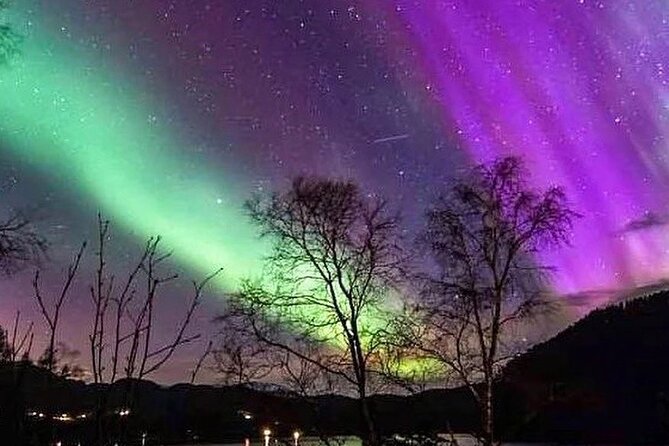 Private Northern Lights Tour From Reykjavik - The private vehicle and group size