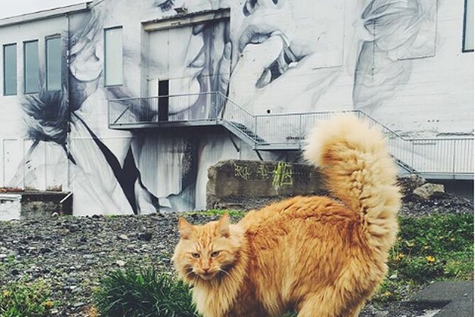 Private Reykjavik Cat Walking Tour - The main event at Kattakaffihúsið