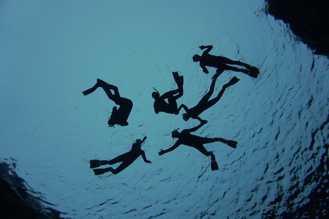 Private Silfra Freedive Tour - Key points to know before booking