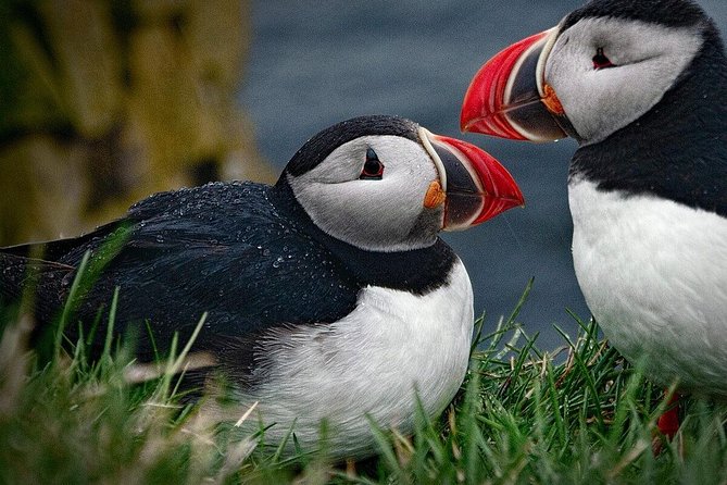 Private Tour: South Coast of Iceland by SUV or Van from Reykjavik - Vík is a short pause, not a long village visit
