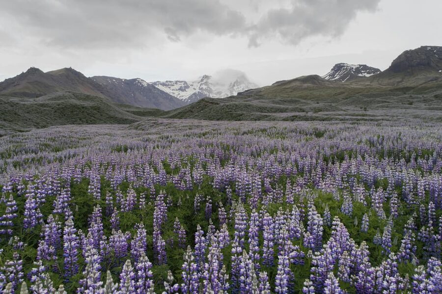 Private Tour to Landmannalaugar. Explore the Highlands - Who will enjoy this tour most
