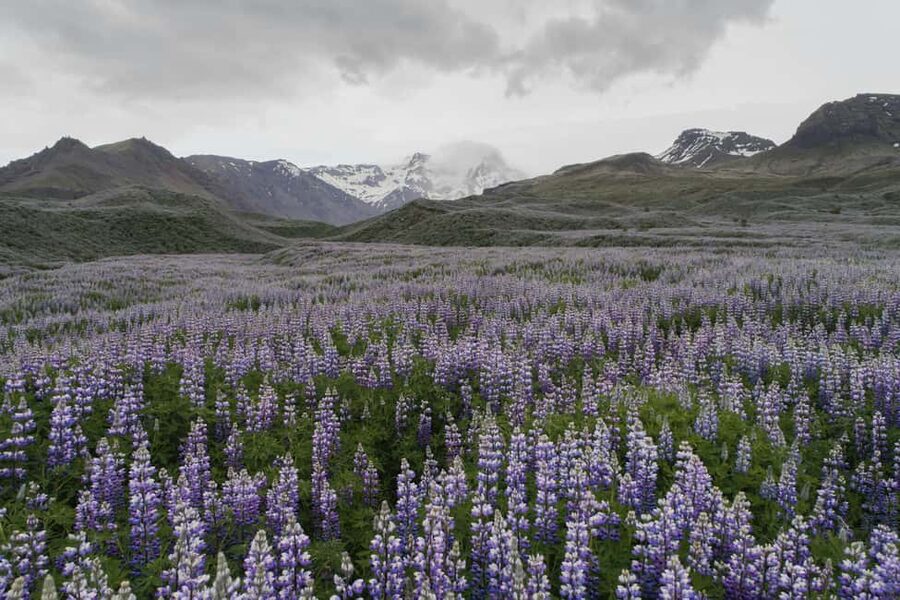 Private Tour to Landmannalaugar. Explore the Highlands - From Reykjavík to the Icelandic Highlands