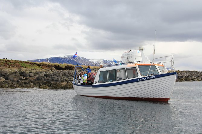 Puffin Cruise with Expert Tour Guide from Reykjavik - What the guide adds to a short cruise