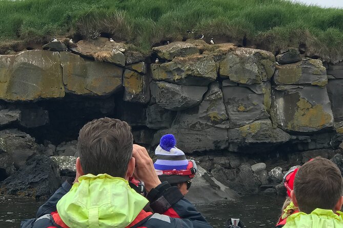 Puffin Watching Speedboat Express - Videy Island and the puffin colonies