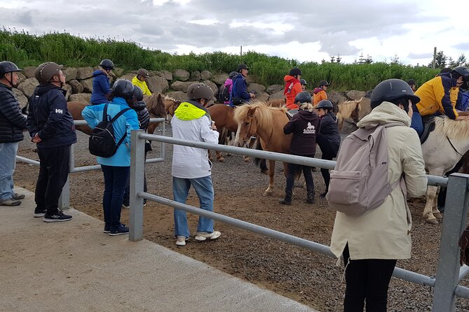 Red Lava Horse Riding Tour From Reykjavik - Heiðmörk and the story beneath the horses’ hooves