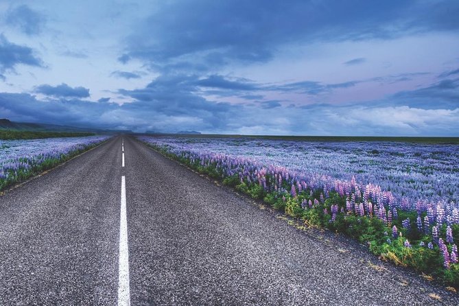 Rent Unlimited High Speed pocket Wifi in Iceland - Who should choose this service