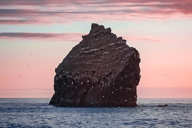 Reykjanes Peninsula Private tour Iceland - The Bridge Between Continents ends on a symbolic note