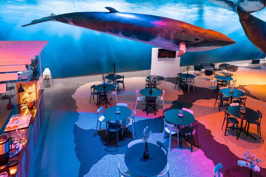 Reykjavik: 2-Hour Northern Lights by Boat with Backup Plan - Practical Tips for a Better Night