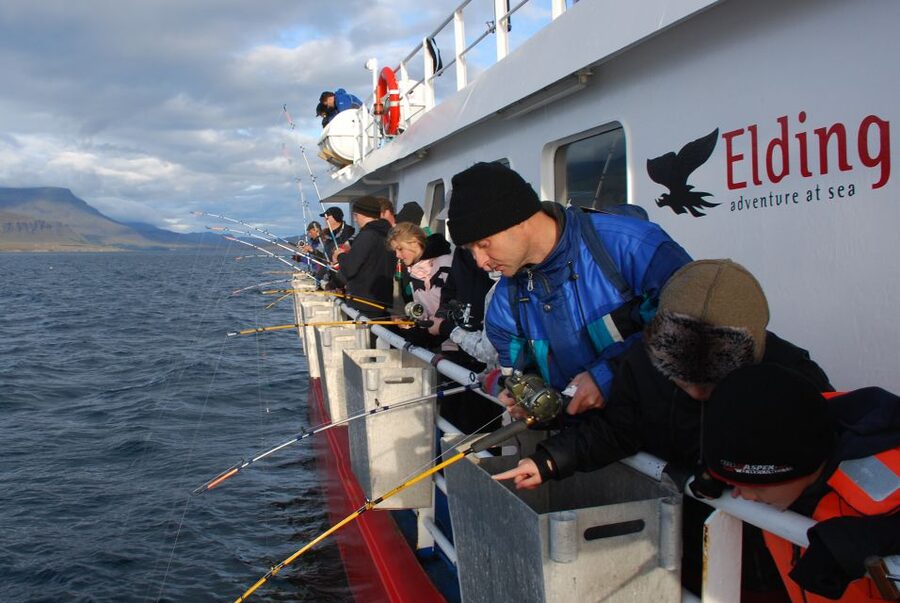 Reykjavik: 3-Hour Sea Angling Gourmet Experience Tour - Should you book the Jóhanna fishing trip?