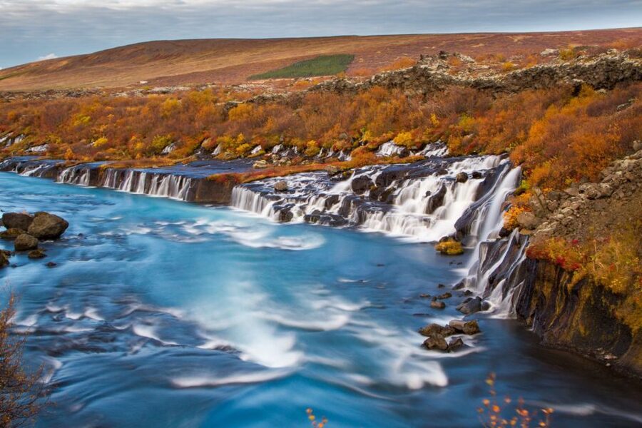 Reykjavik: 8-Day Small Group Circle of Iceland Tour - Day 6: Eyjafjörður, farm food, and whales from Hauganes