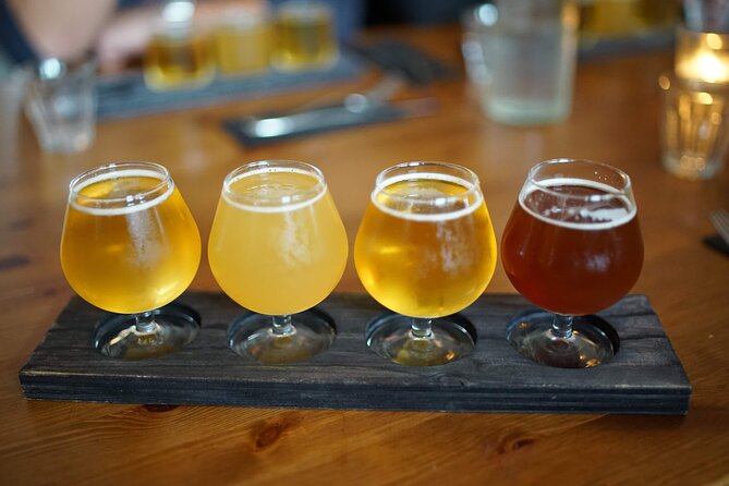 Reykjavik Beer & Booze Tour - Who should book this walking tasting?