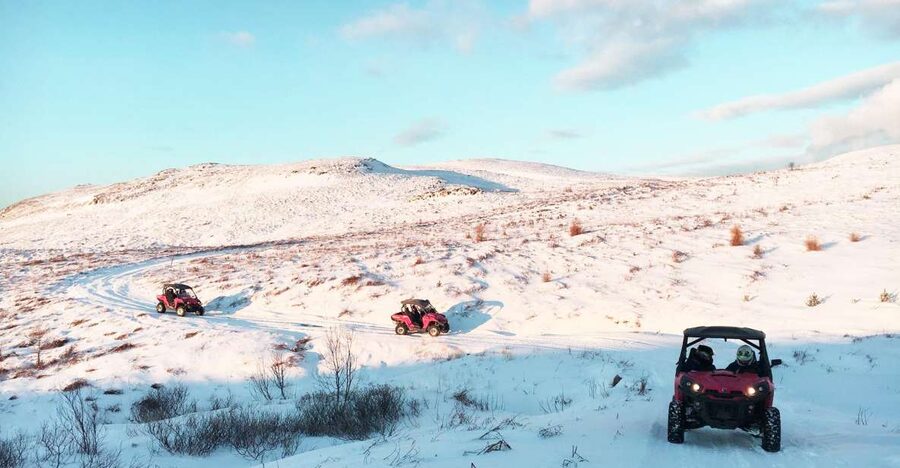 Reykjavik: Buggy Safari Tour with Hotel Transfers - Key points to know before booking