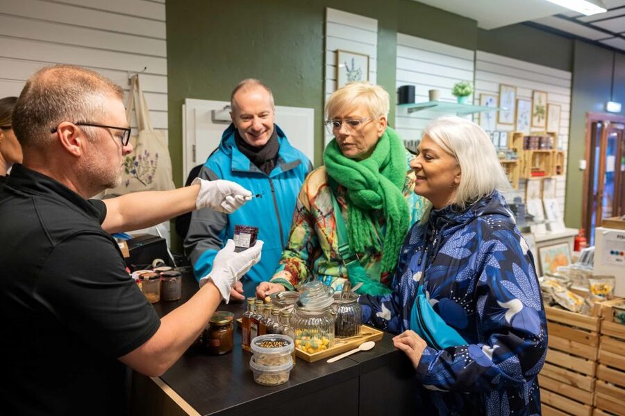 Reykjavik Christmas Walking Tour - What the $74 price really buys you