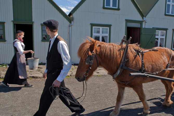 Reykjavik City Card 24-hour - Add Icelandic culture, ships, and settlement stories