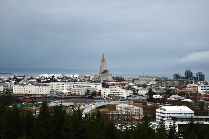 Reykjavik City Private Tour - Hallgrímskirkja and the view over central Reykjavik