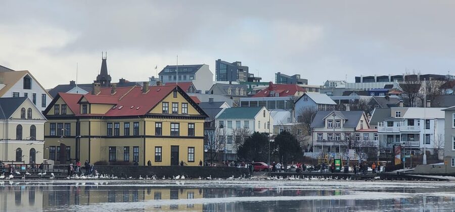 Reykjavik City Private Tour: Perlan, Arbaer & City Landmarks - The short city stop between major sights