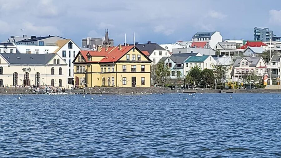 Reykjavik City Private Tour: Perlan, Arbaer & City Landmarks - Perlan: Reykjavik from above, Iceland from below