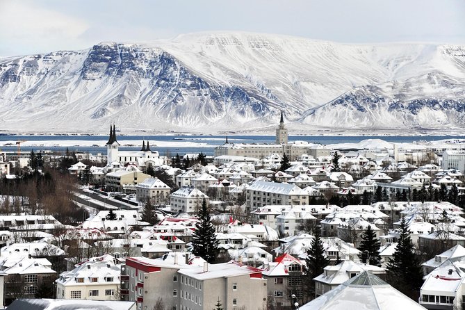 Reykjavik City Walking Tour - What the guides add