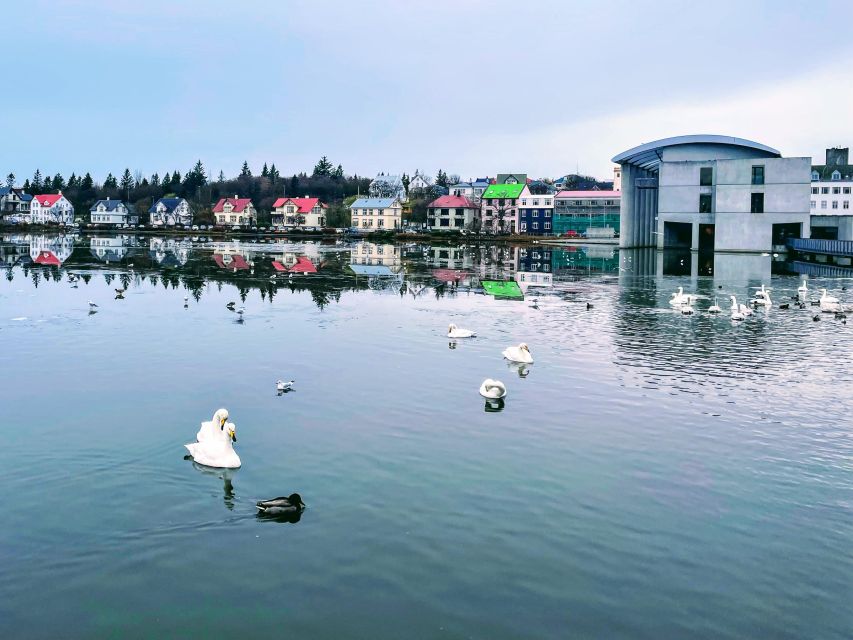Reykjavik: City Walking tour in Small Group with Local Guide - Tjörnin and the colorful houses