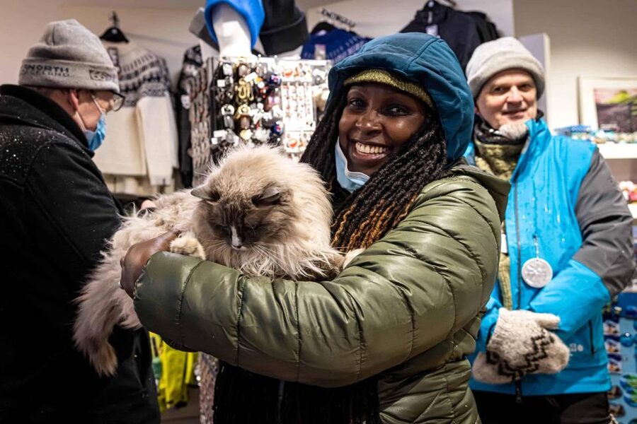Reykjavik: Feline-Focused City Walking Tour - Gyllti kötturinn and the hunt for local cats