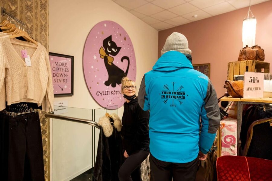 Reykjavik: Feline-Focused City Walking Tour - Lake Tjörnin adds a quiet change of pace