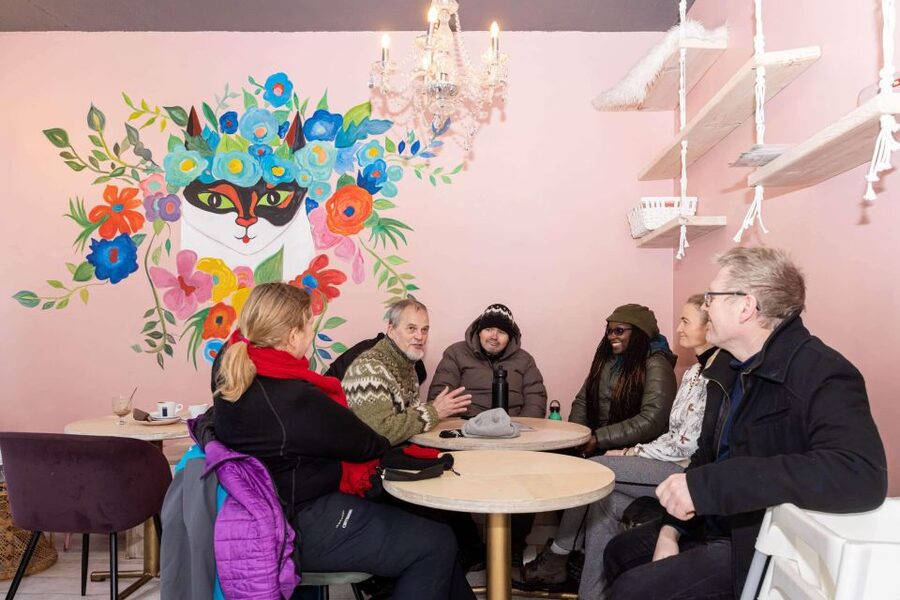 Reykjavik: Feline-Focused City Walking Tour - Hallgrimskirkja and the Einar Jónsson Museum finish
