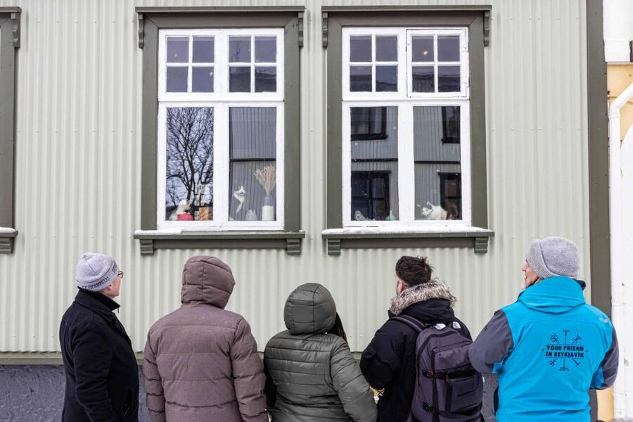 Reykjavik: Feline-Focused City Walking Tour - Is $74 a fair price?