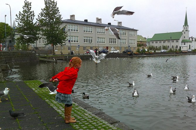 Reykjavik Food Tour and City Walk - PRIVATE TOUR - Ice cream, even in Iceland